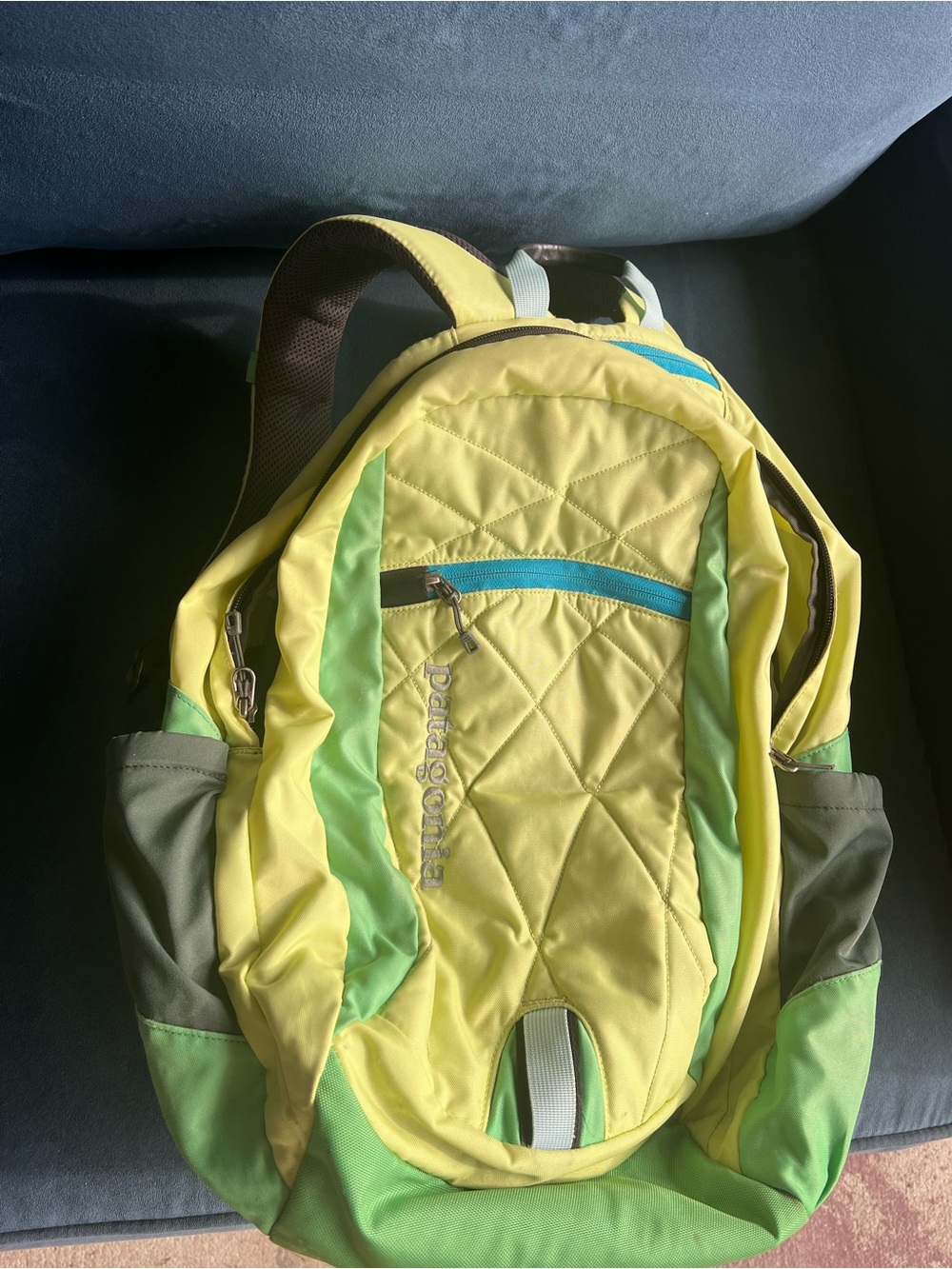 Patagonia Violeta 25L Yellow and Green Quilted Daypack Backpack